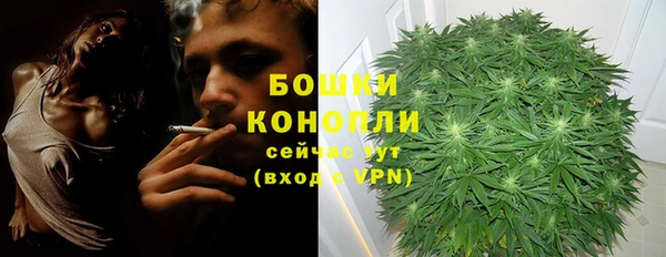 ALPHA PVP Заводоуковск