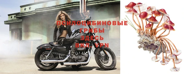 мдпв Заволжье