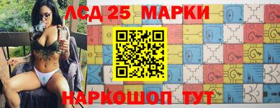 мдпв Донской