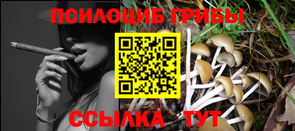 Свободный  Галлюциногенные грибы прущие грибы  Вход с VPN 